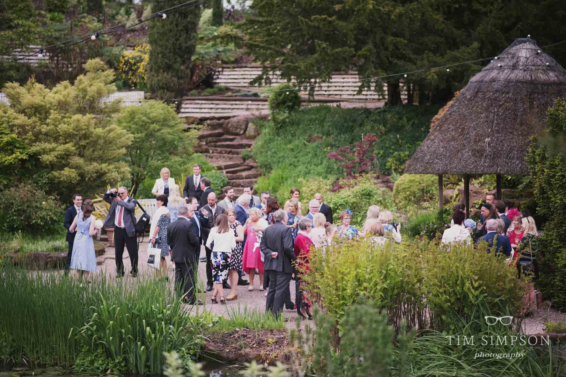 Ness Gardens Wedding (30 of 59)