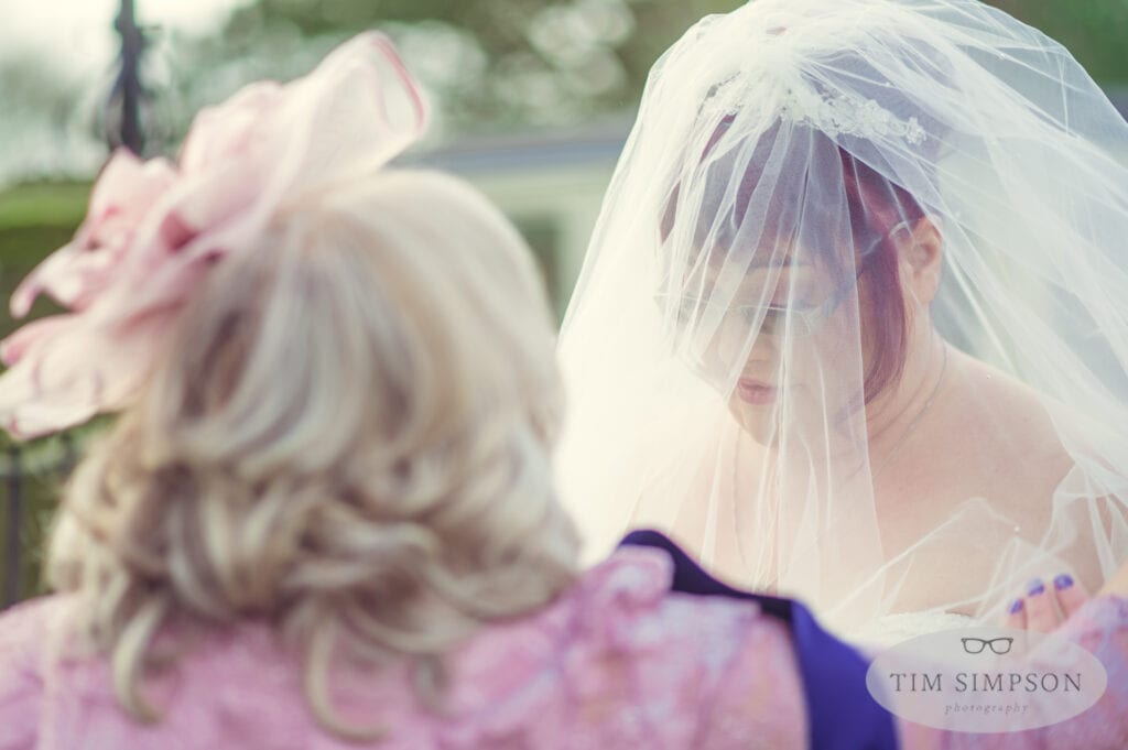 bride in veil